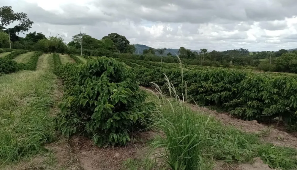Fazenda, 660 m² - Foto 7