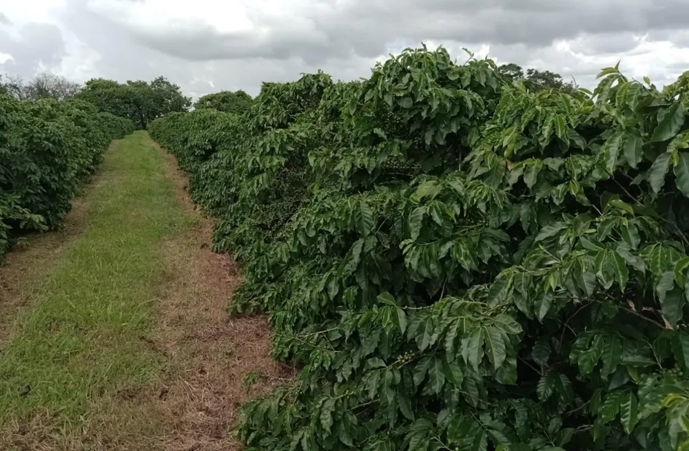 Fazenda, 660 m² - Foto 16