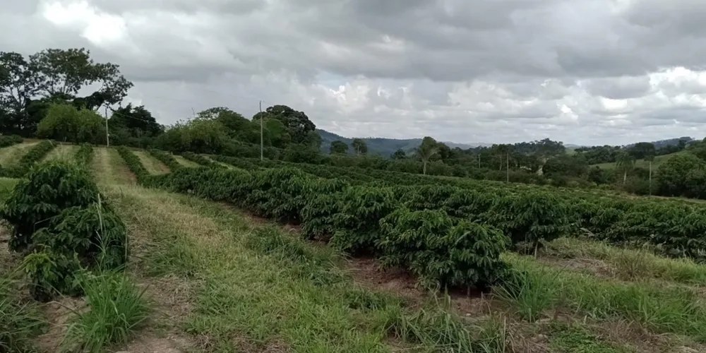 Fazenda, 660 m² - Foto 8