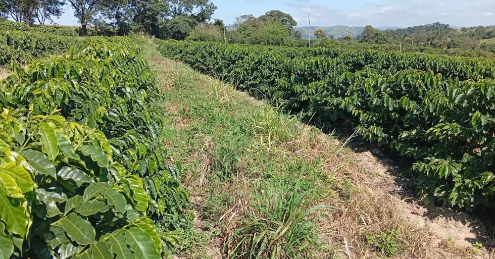 Fazenda, 660 m² - Foto 8