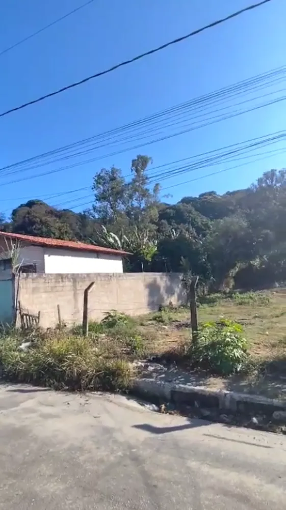Chácara, 2 quartos, 1234 m² - Foto 6