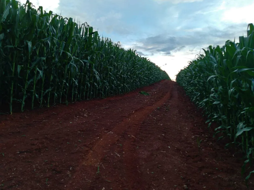 Fazenda, 510 m² - Foto 18