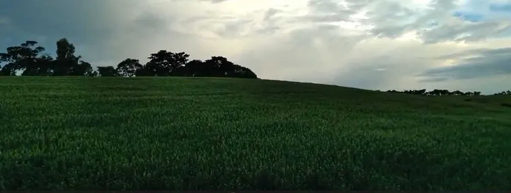 Fazenda, 510 m² - Foto 8