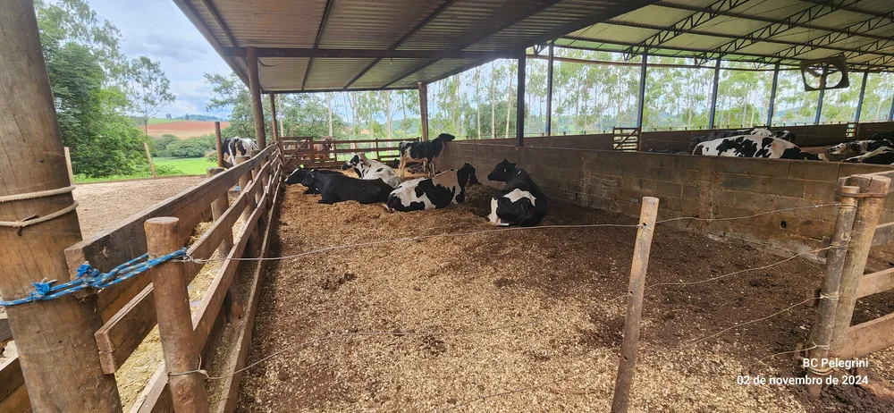 Fazenda, 510 m² - Foto 3