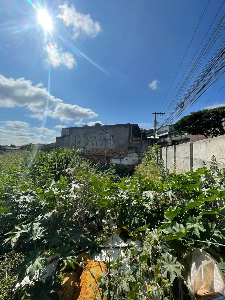 Terreno, 425 m² - Foto 7