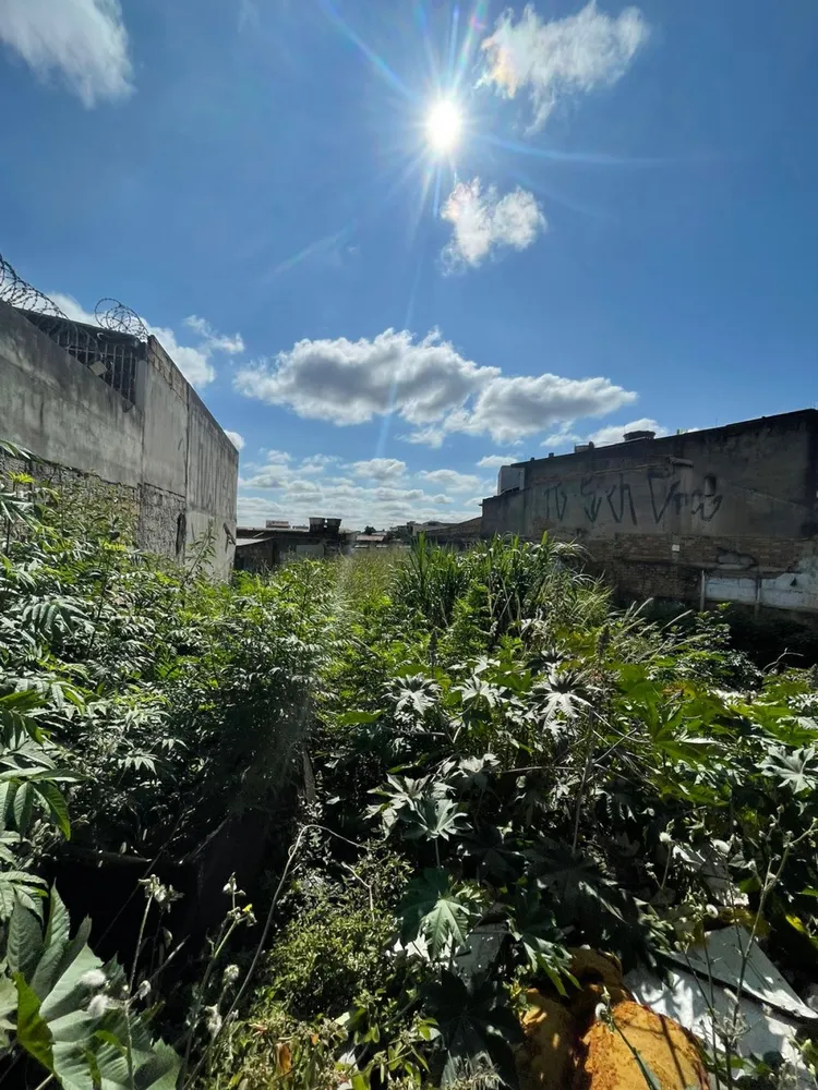 Terreno, 425 m² - Foto 4