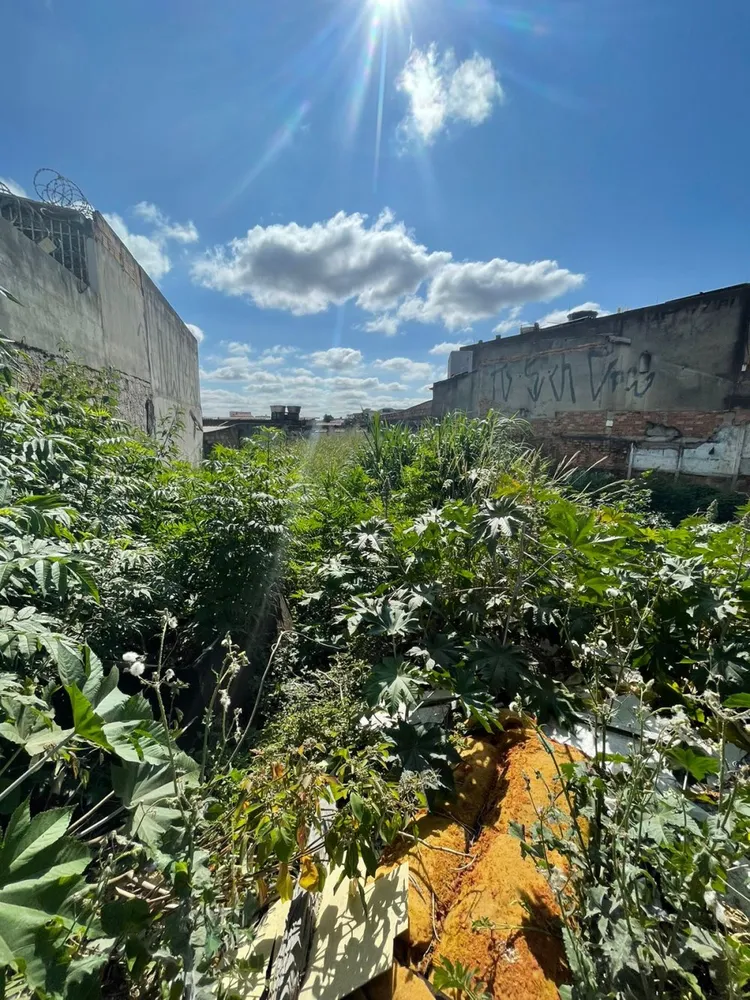 Terreno, 425 m² - Foto 6