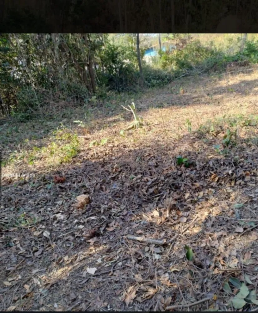 Terreno, 2500 m² - Foto 4