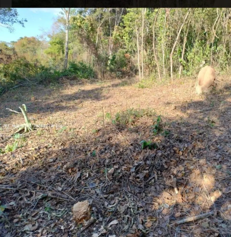 Terreno, 2500 m² - Foto 5