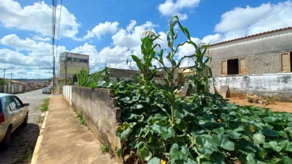 Casa, 1 quarto, 426 m² - Foto 3