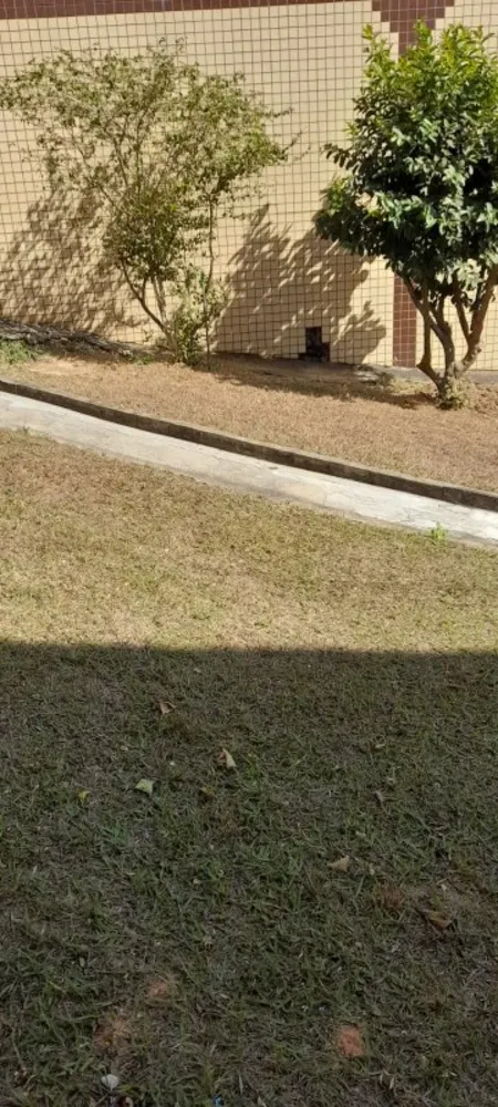 Casa, 3 quartos, 360 m² - Foto 11