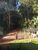 Sítio, 3 quartos, 80 m² - Foto 3