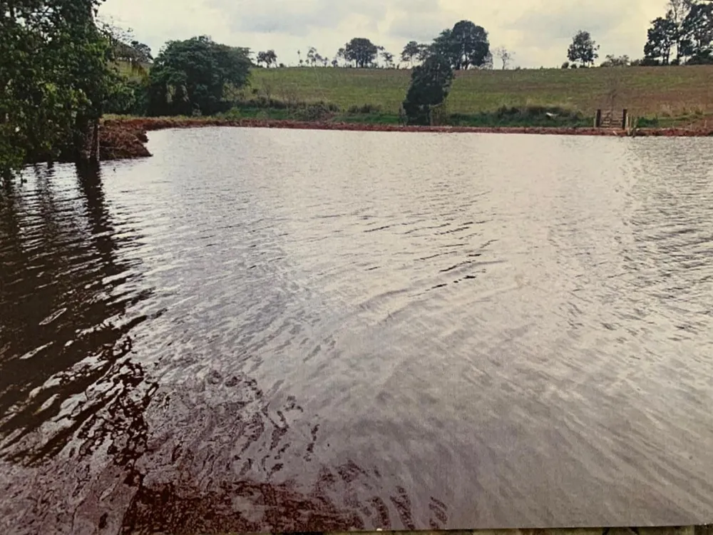 Fazenda, 15 hectares - Foto 7