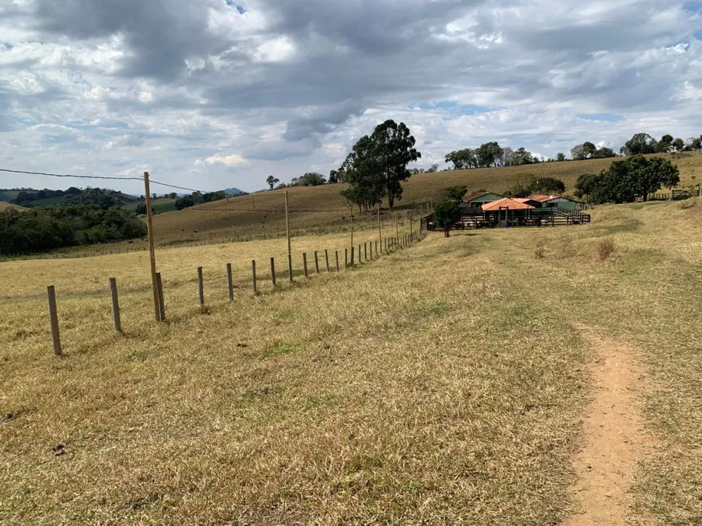 Fazenda, 15 hectares - Foto 5
