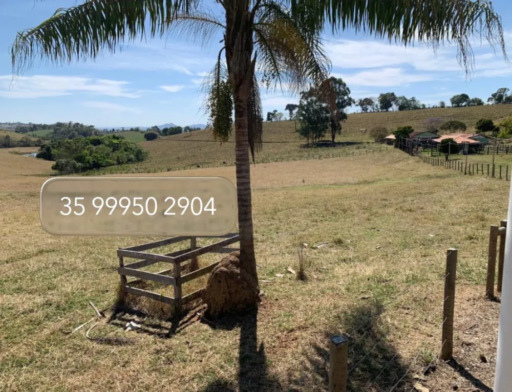 Fazenda, 15 hectares - Foto 1