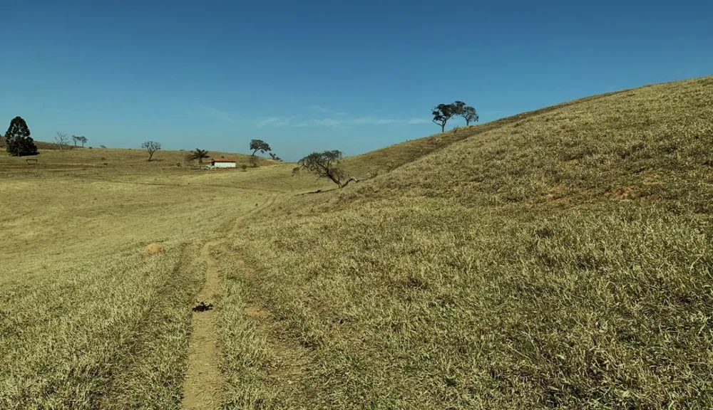Fazenda, 15 hectares - Foto 8