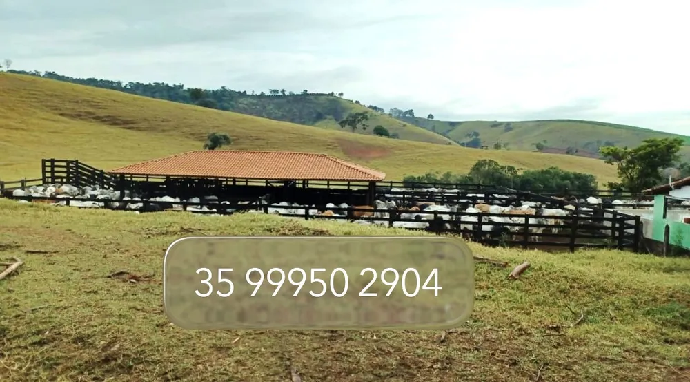 Fazenda, 15 hectares - Foto 3