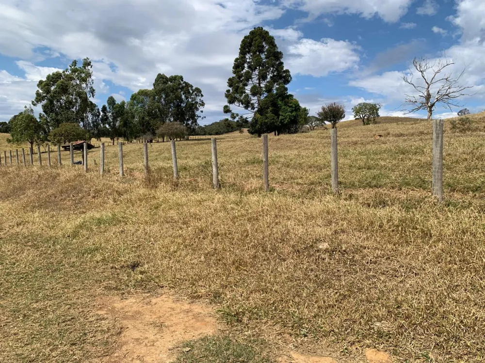 Fazenda, 15 hectares - Foto 4