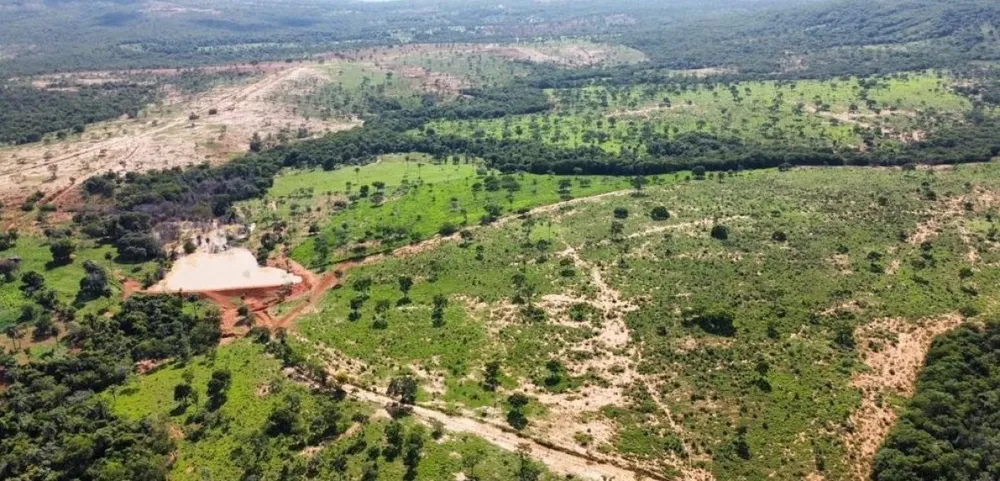 Fazenda, 687 hectares - Foto 6