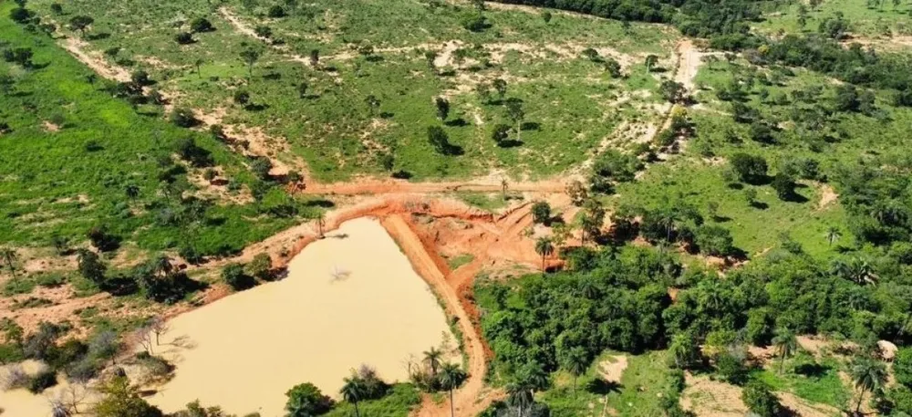 Fazenda, 687 hectares - Foto 4