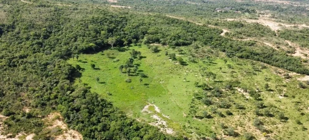 Fazenda, 687 hectares - Foto 6