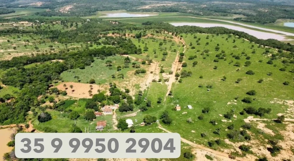 Fazenda, 687 hectares - Foto 14