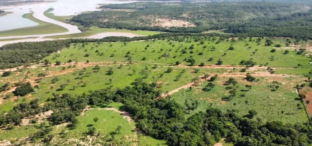 Fazenda, 687 hectares - Foto 5