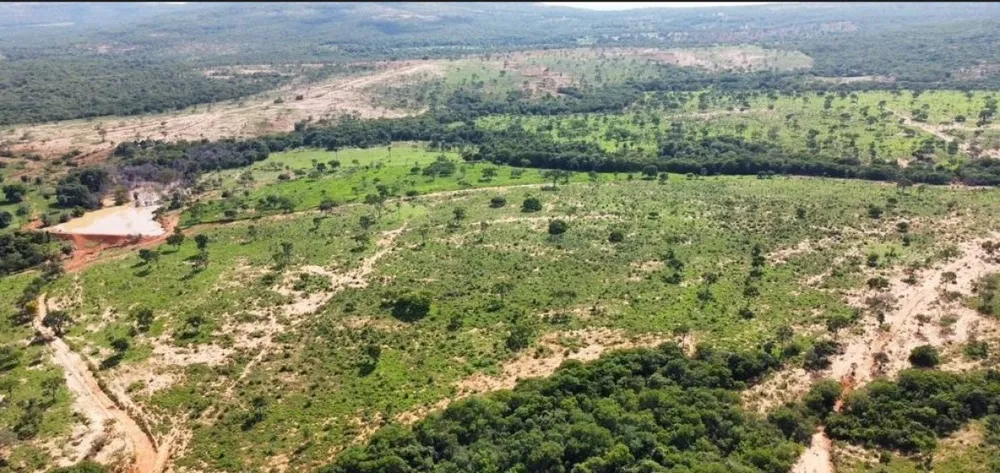 Fazenda, 687 hectares - Foto 7
