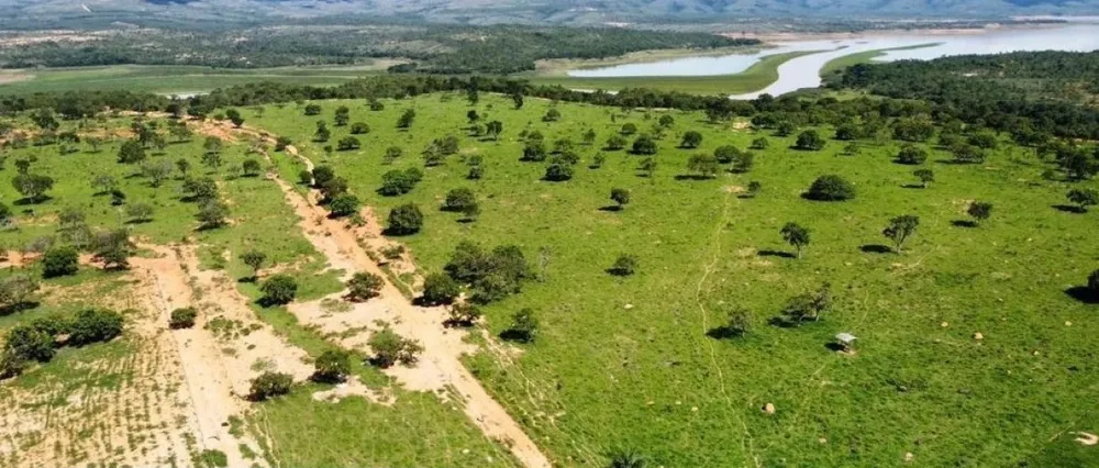 Fazenda, 687 hectares - Foto 3