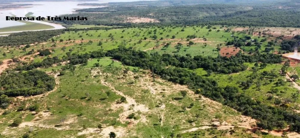 Fazenda, 687 hectares - Foto 7