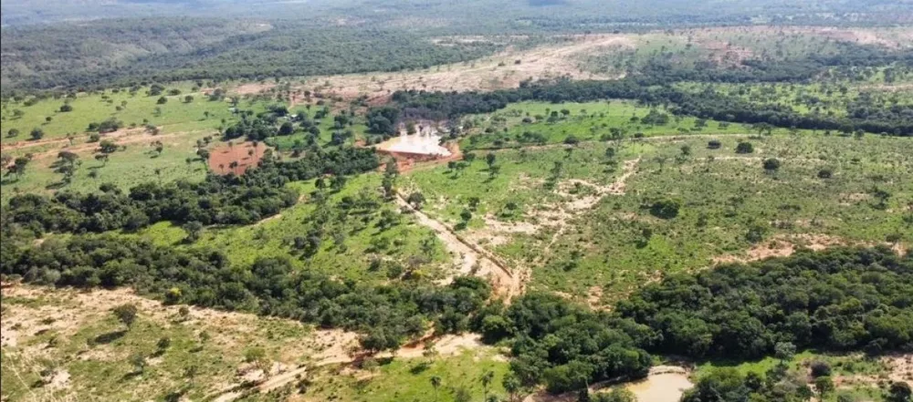 Fazenda, 687 hectares - Foto 8