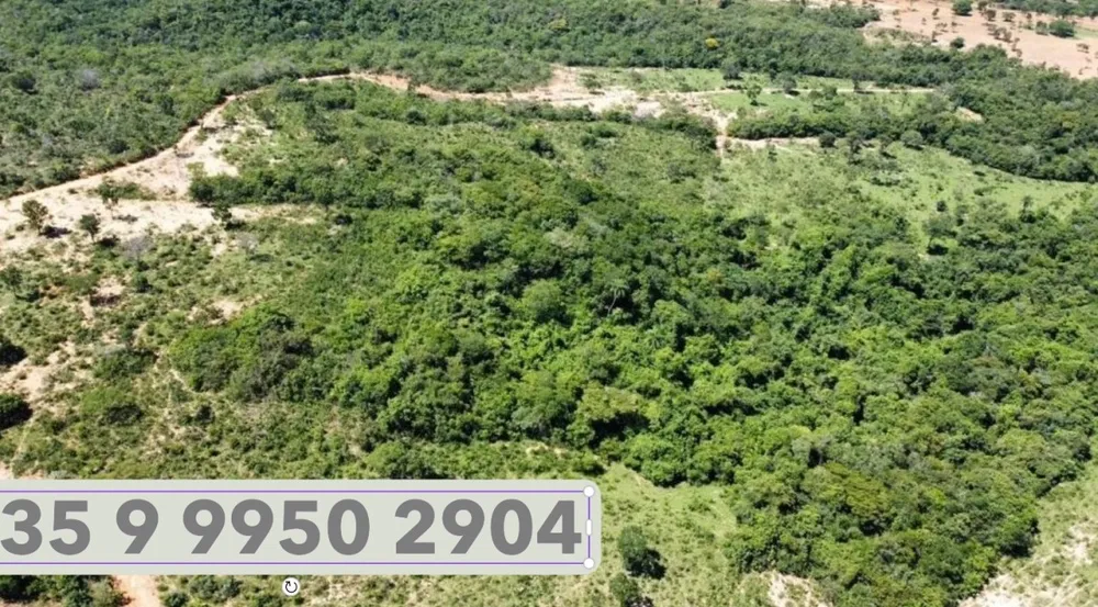 Fazenda, 687 hectares - Foto 1