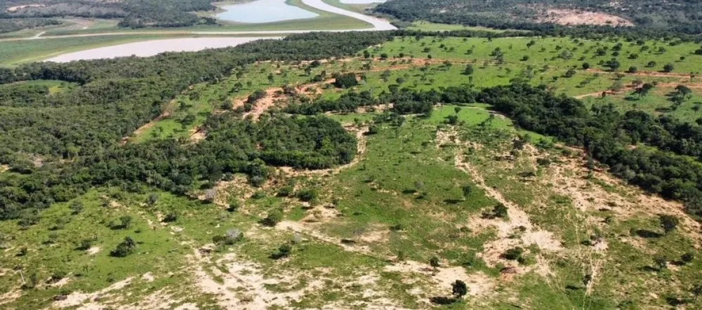 Fazenda, 687 hectares - Foto 2