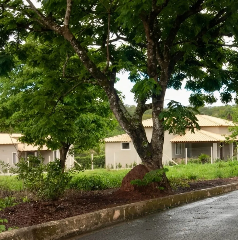 Terreno, 1000 m² - Foto 3