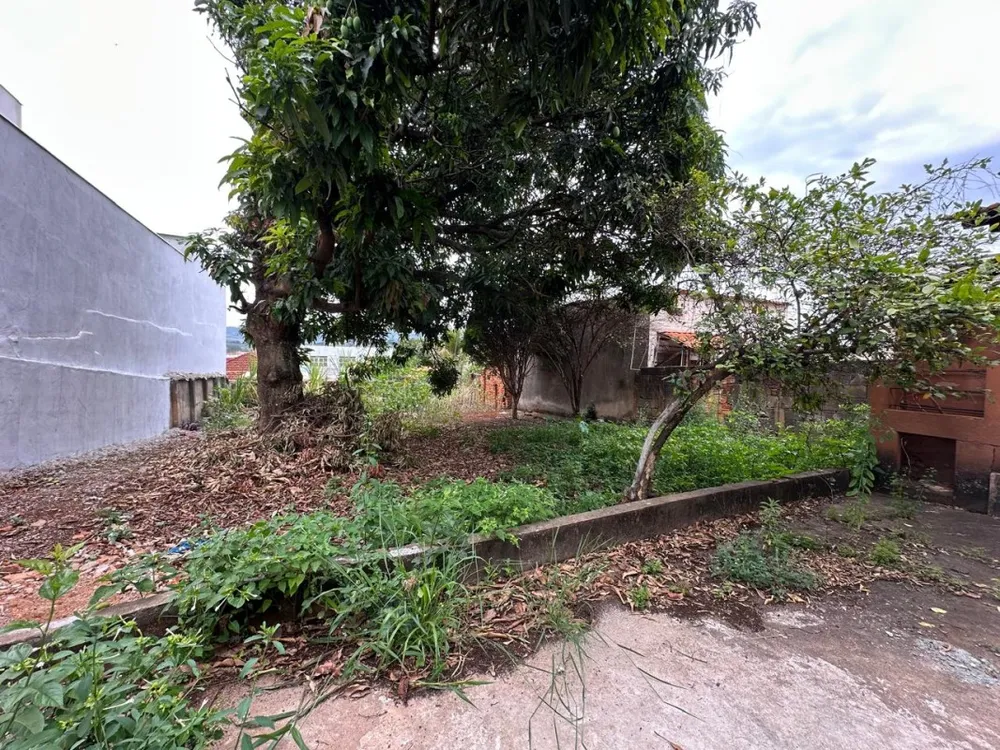 Casa, 3 quartos, 423 m² - Foto 11