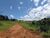 Fazenda, 170 hectares - Foto 4