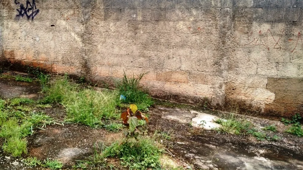 Terreno, 360 m² - Foto 6