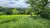 Fazenda, 73 hectares - Foto 3