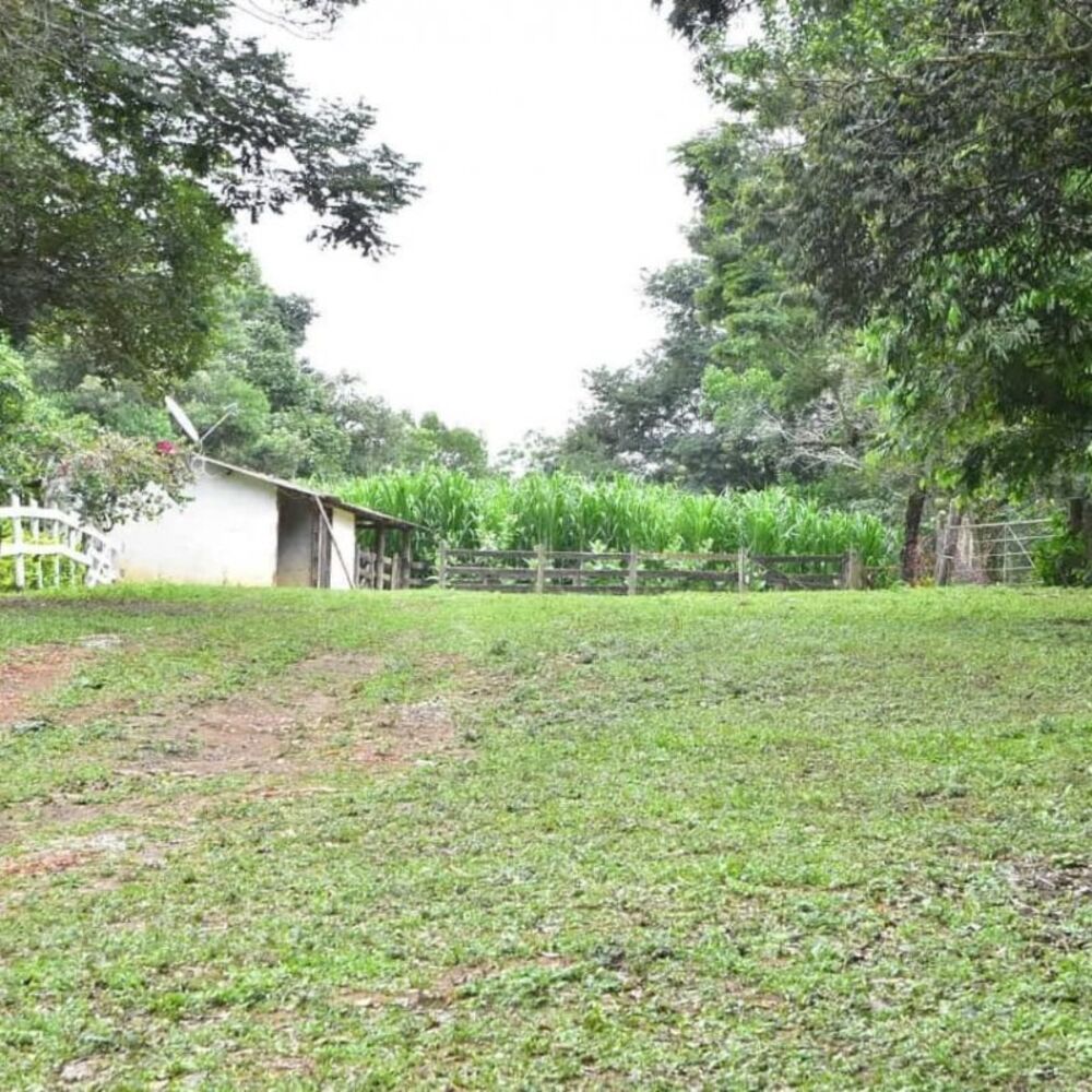 Sítio à venda com 3 quartos, 25000m² - Foto 3