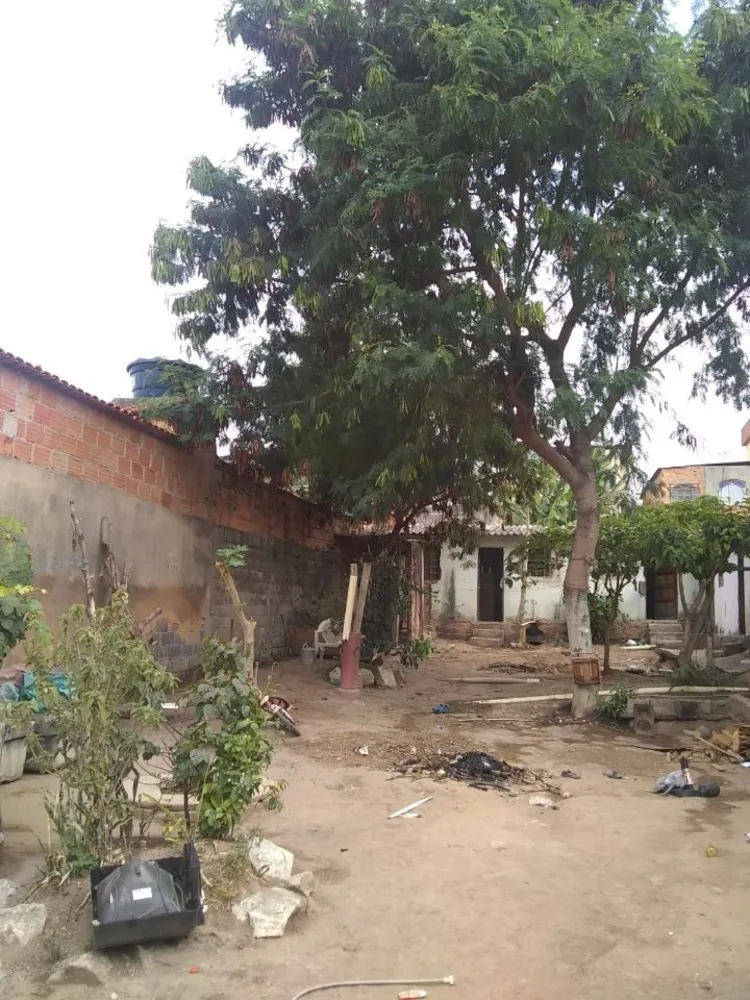 Terreno, 360 m² - Foto 6