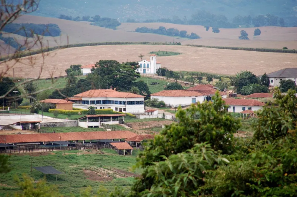Fazenda, 458 hectares - Foto 8