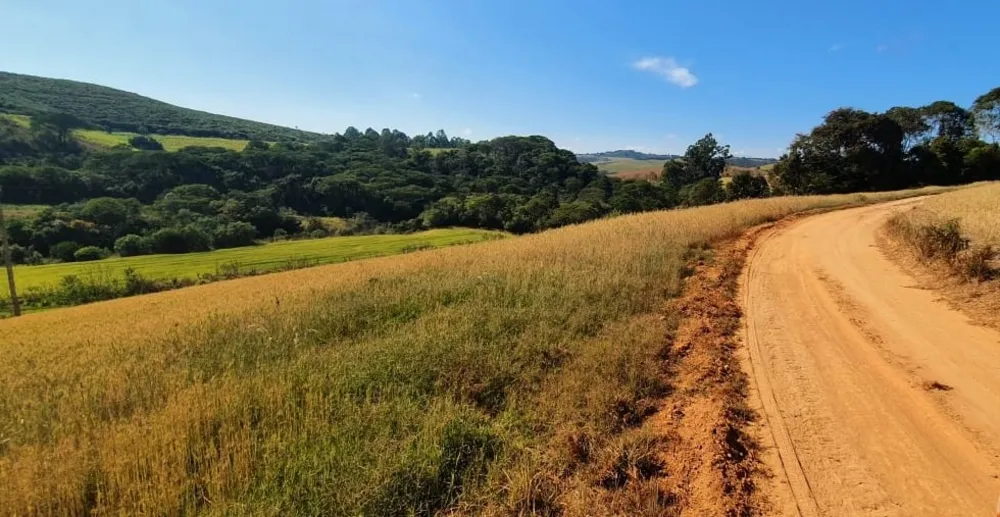 Fazenda, 458 hectares - Foto 2