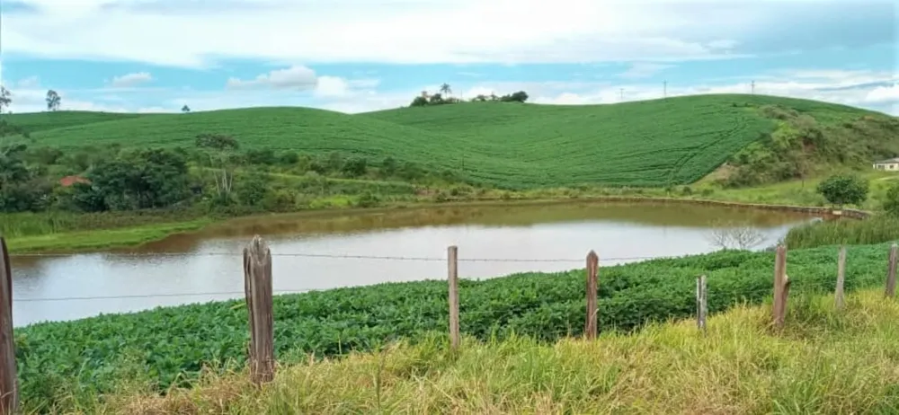 Fazenda, 458 hectares - Foto 5