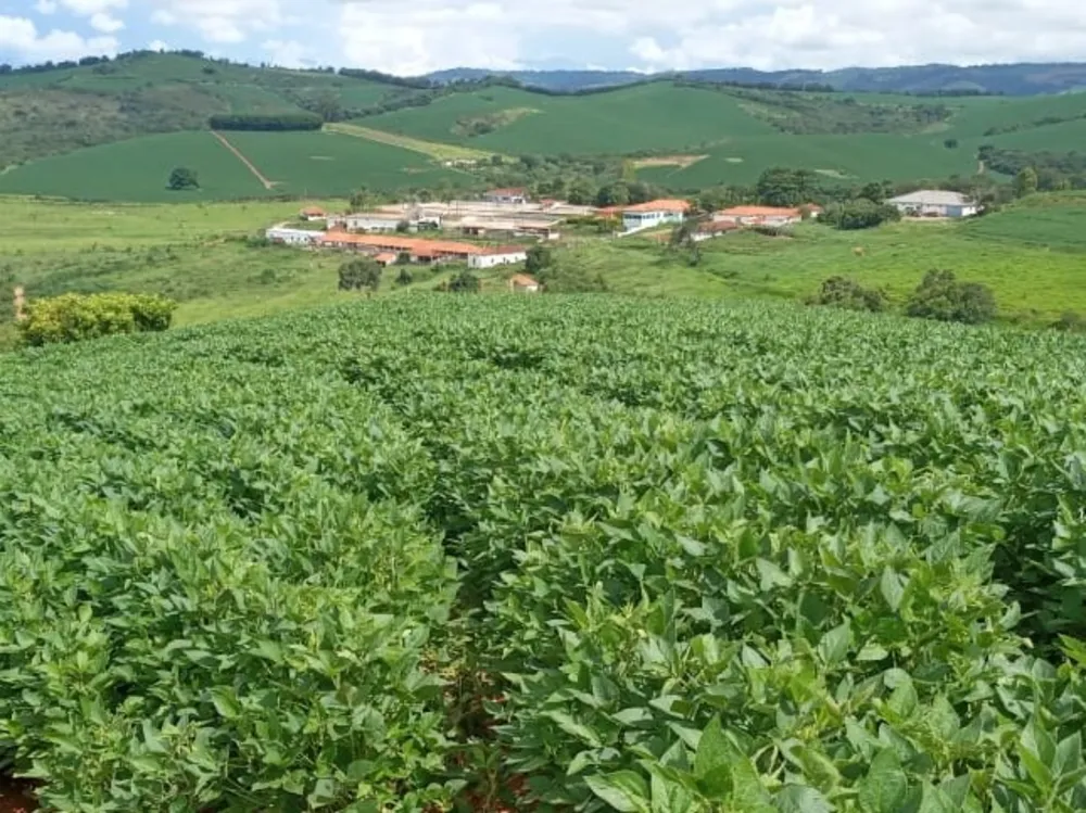 Fazenda, 458 hectares - Foto 1