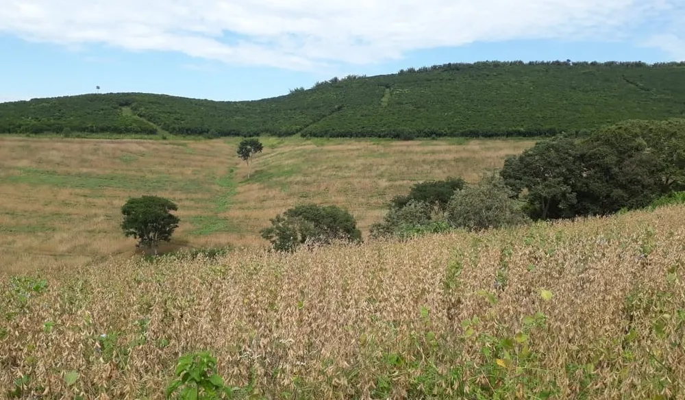 Fazenda, 458 hectares - Foto 3