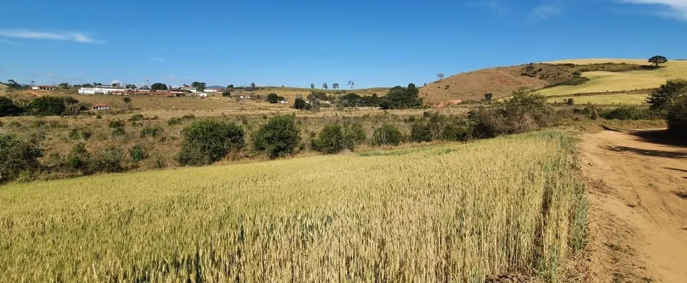 Fazenda, 458 hectares - Foto 4