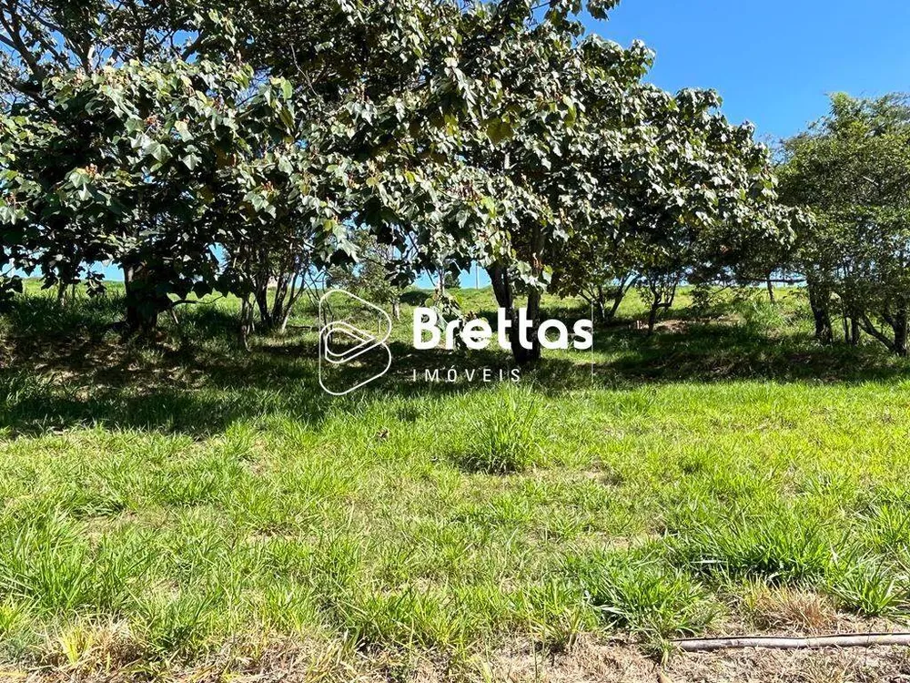 Terreno, 600 m² - Foto 6
