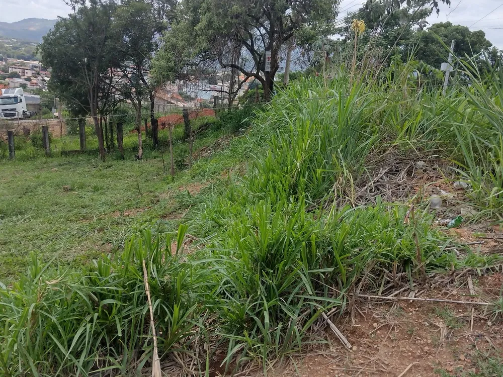 Terreno, 360 m² - Foto 8