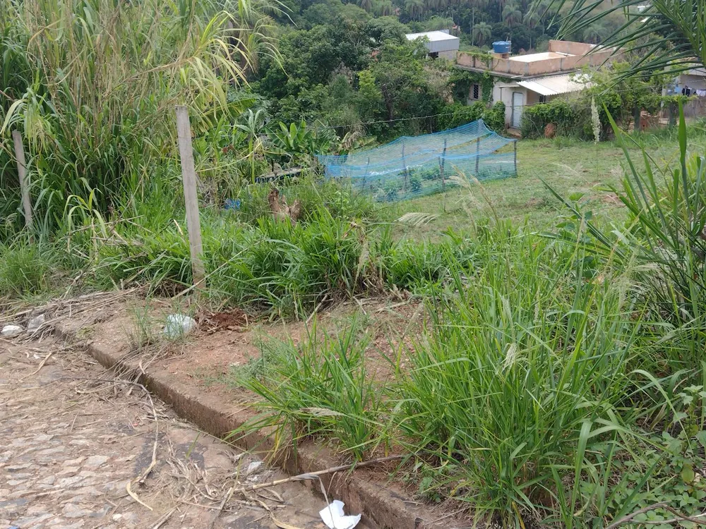 Terreno, 360 m² - Foto 6