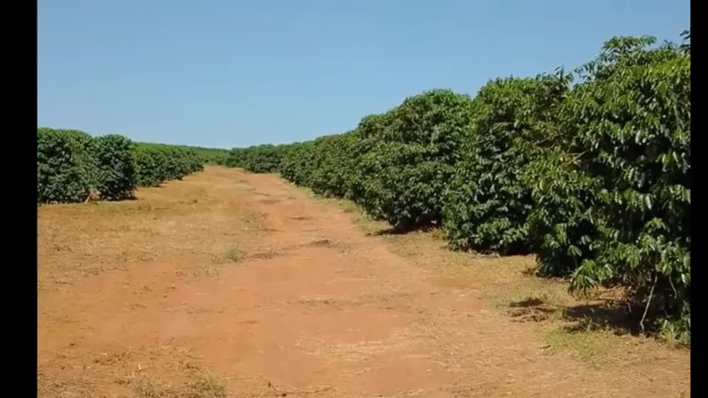 Fazenda, 3 quartos - Foto 9